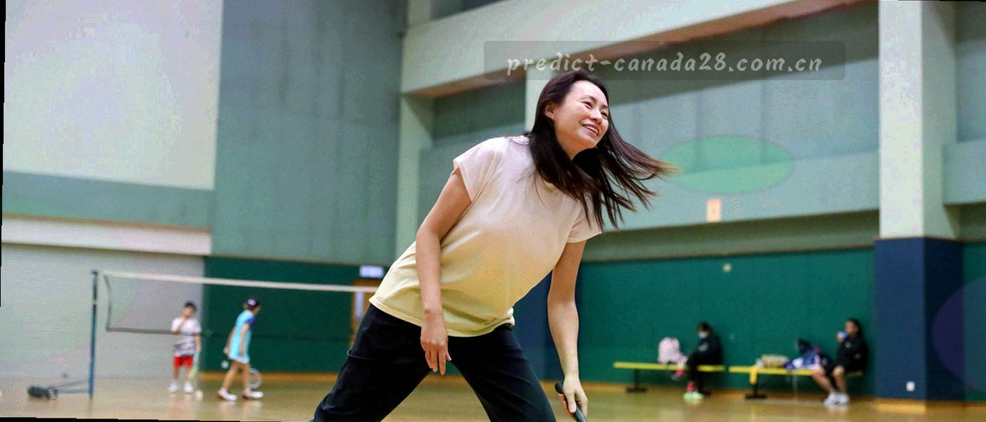横向排列的目录卡片、索引线与半透明层叠轨道示意